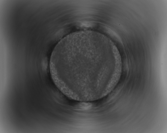 X0000094190328200711161753