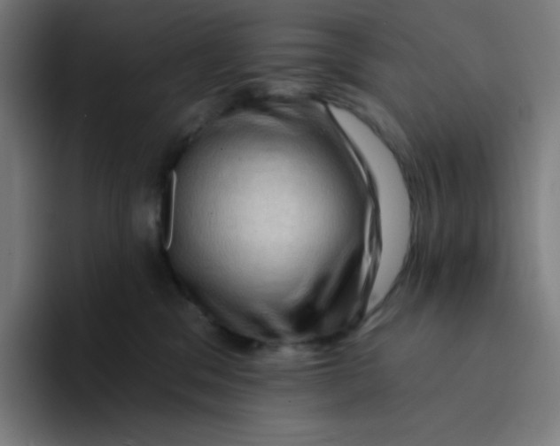 X0000094190329200711161753