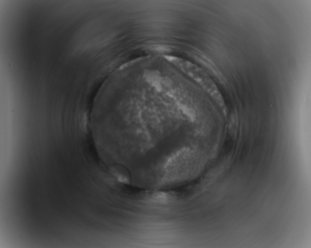 X0000094190330200711161753