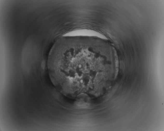 X0000094190331200711161753