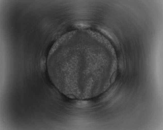 X0000094190332200711161753