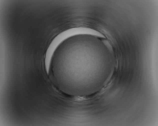 X0000094190333200711161753