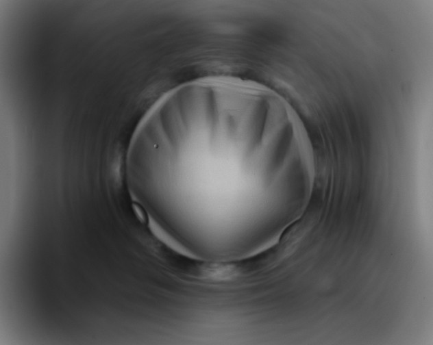 X0000094190334200711161753