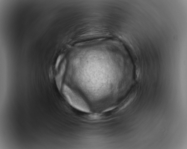 X0000094190335200711161753