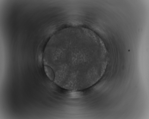 X0000094190336200711161753