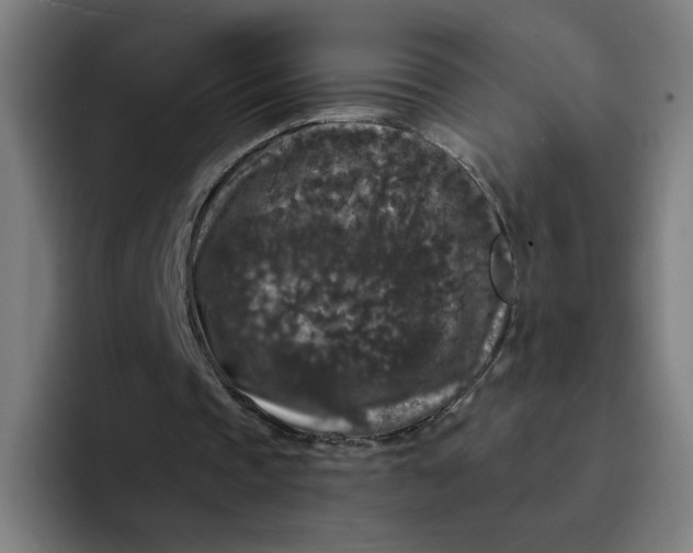 X0000094190337200711161752