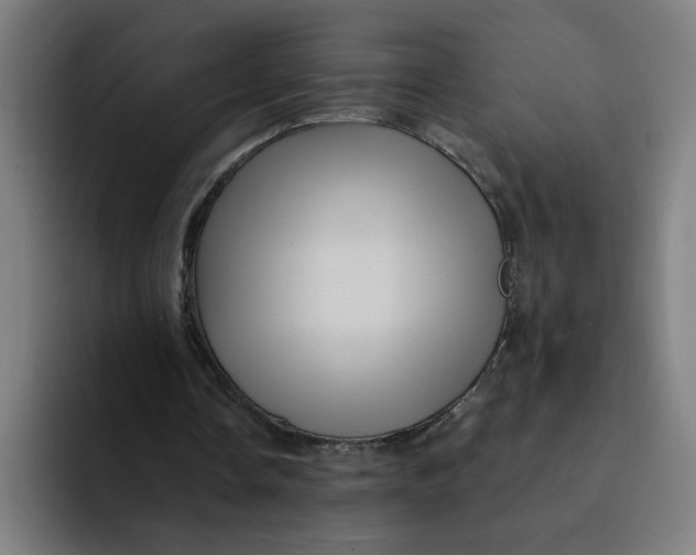 X0000094190338200711161752