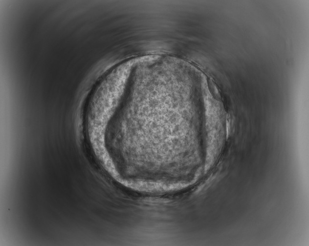 X0000094190339200711161752