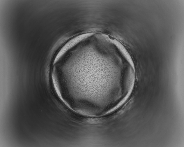 X0000094190341200711161752