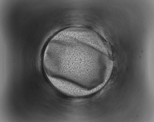 X0000094190342200711161752