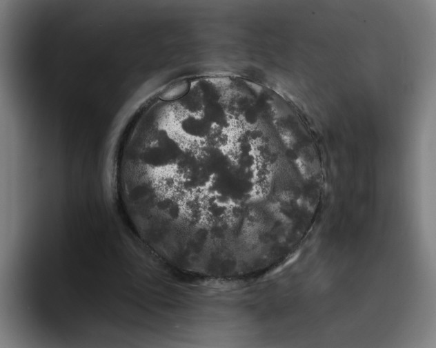 X0000094190343200711161752