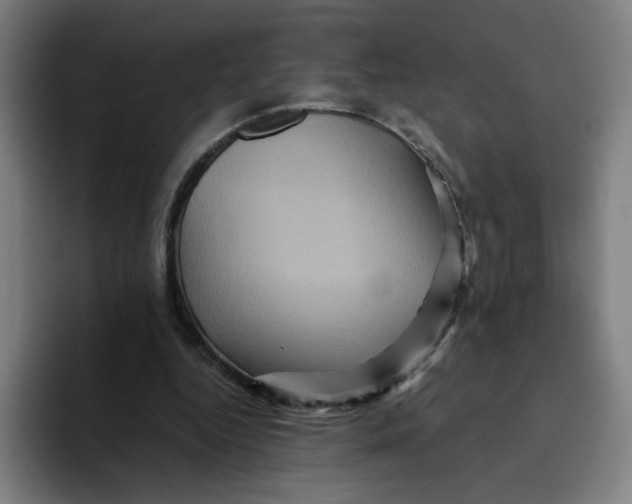 X0000094190344200711161752