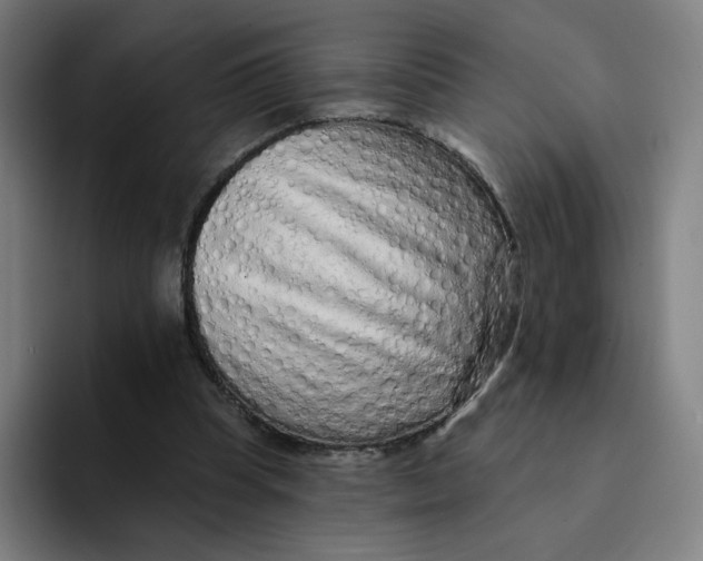 X0000094190345200711161752