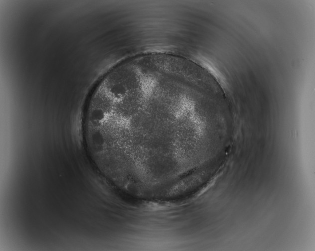 X0000094190346200711161752