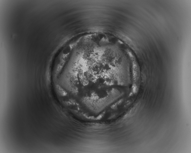 X0000094190347200711161752