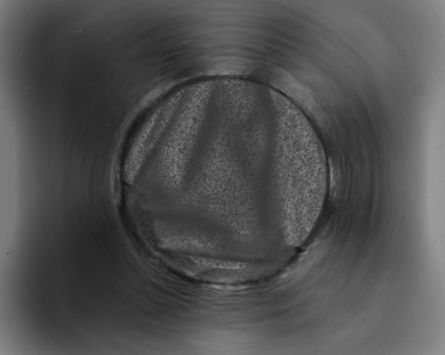 X0000094190348200711161752