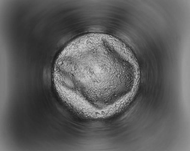 X0000094190349200711161753