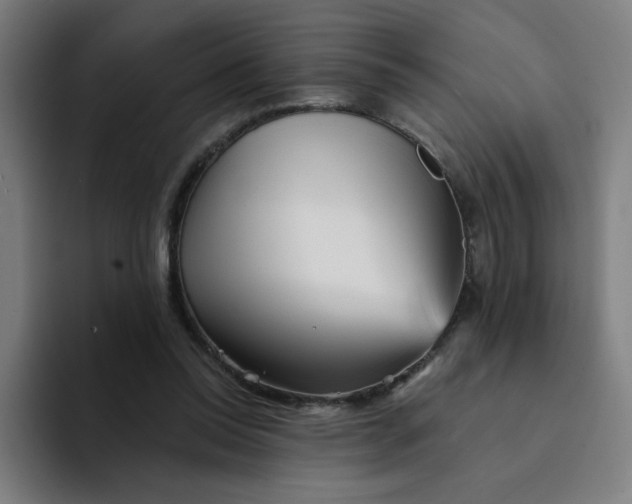 X0000094190350200711161753