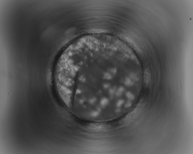 X0000094190351200711161753