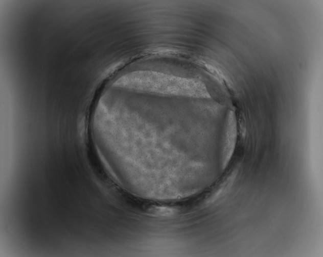 X0000094190352200711161753