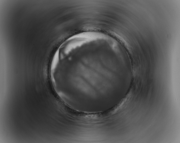 X0000094190353200711161753