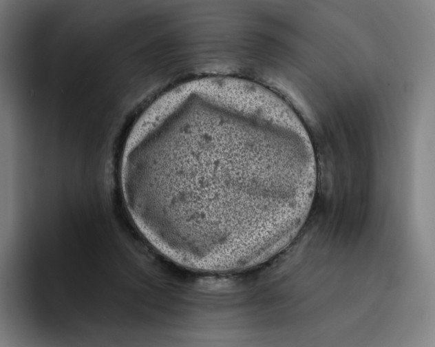 X0000094190354200711161753