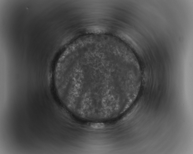 X0000094190355200711161753