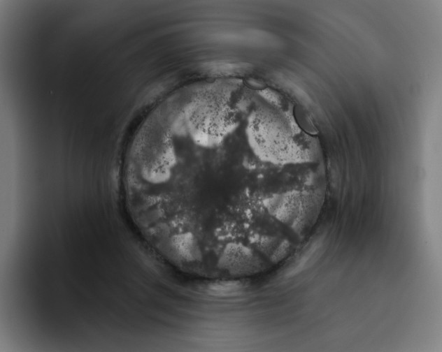 X0000094190357200711161753