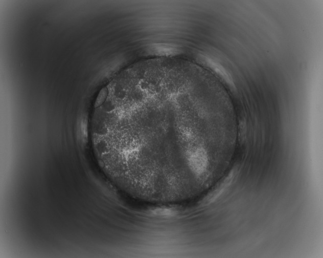 X0000094190358200711161753