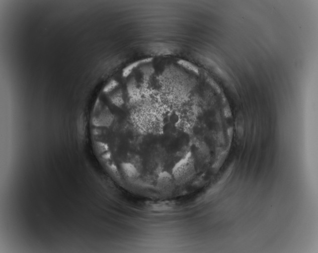 X0000094190359200711161753