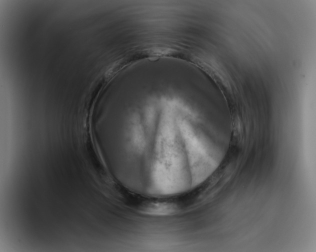 X0000094190360200711161753