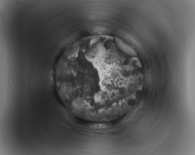 X0000094190361200711161753