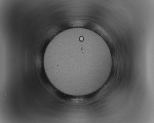 X0000094190362200711161753