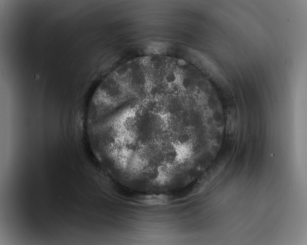 X0000094190363200711161753