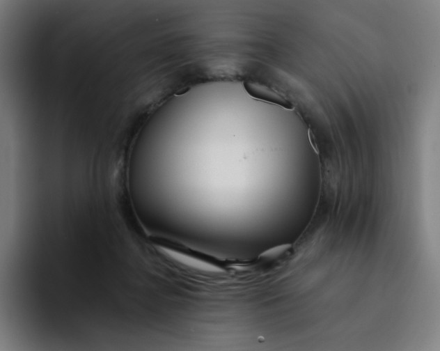 X0000094190364200711161753