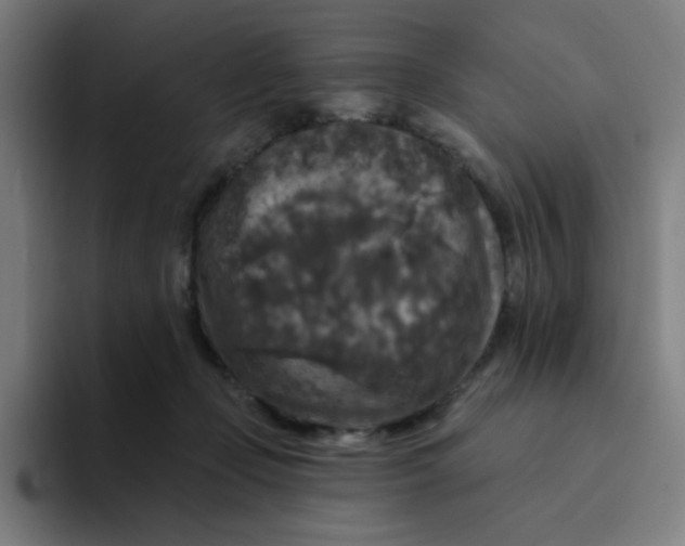 X0000094190365200711161753