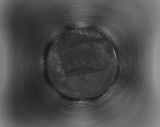 X0000094190366200711161753