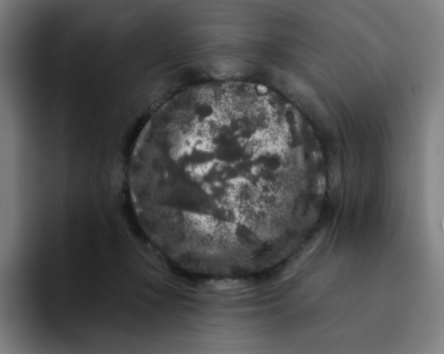 X0000094190367200711161753