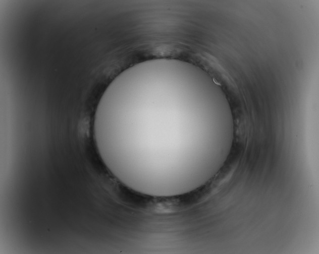 X0000094190368200711161753