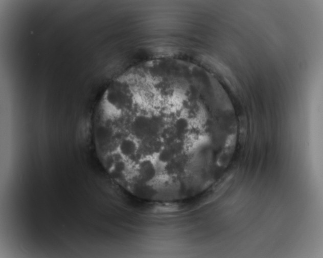 X0000094190369200711161753