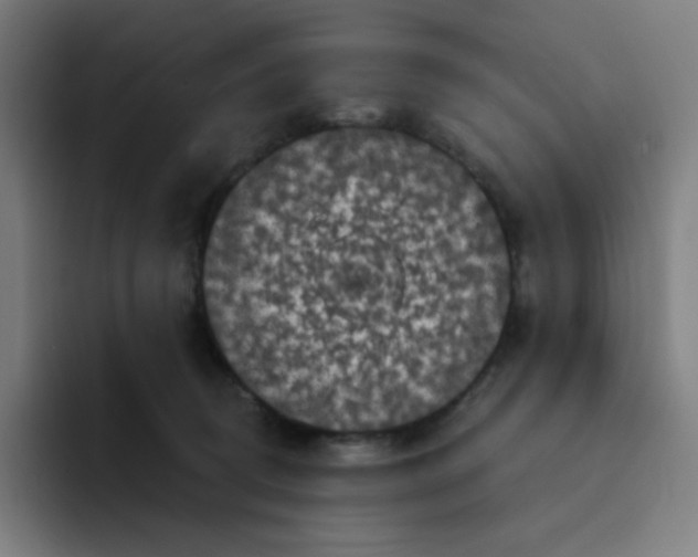 X0000094190370200711161753