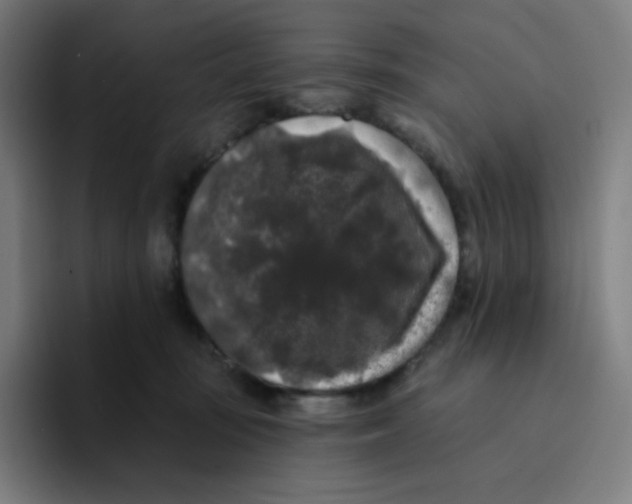 X0000094190371200711161753