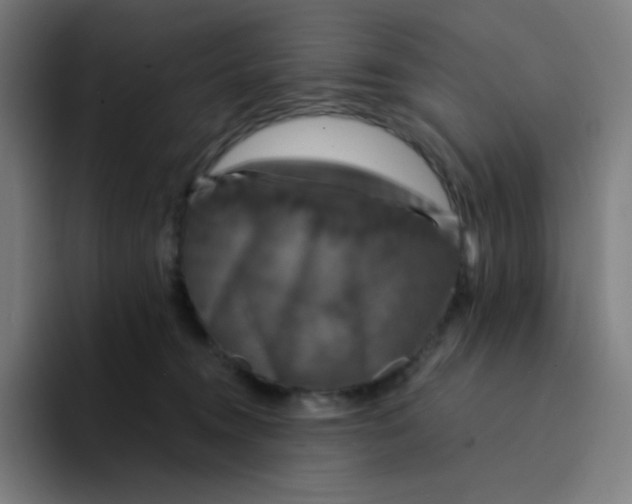 X0000094190372200711161753