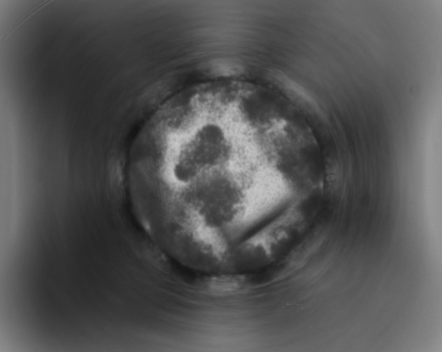 X0000094190373200711161753