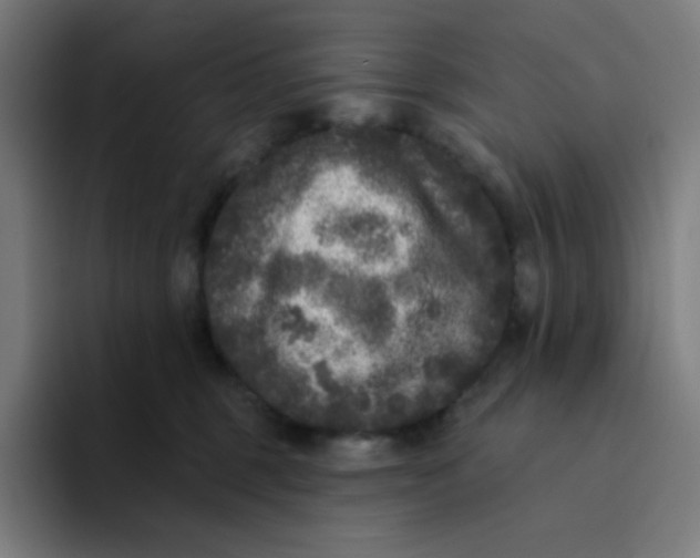 X0000094190375200711161753