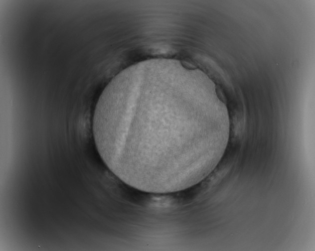 X0000094190376200711161753