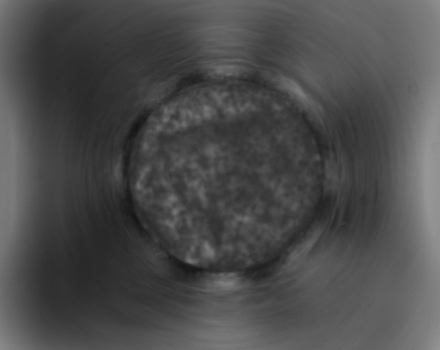 X0000094190377200711161753