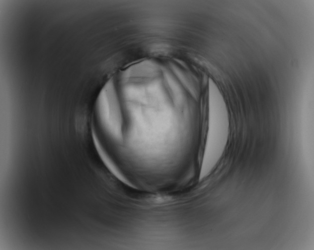 X0000094190379200711161753