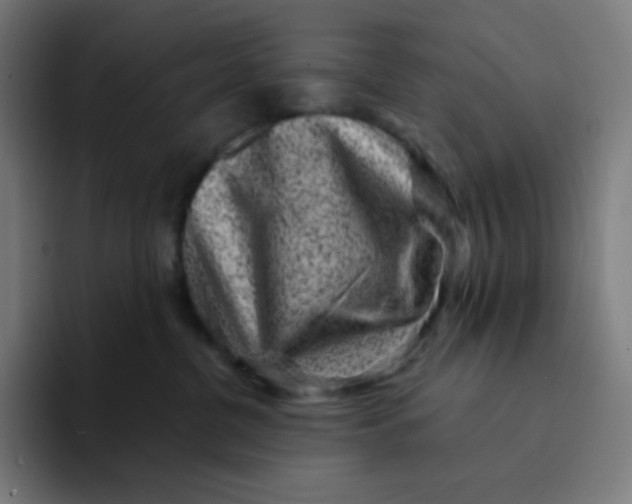 X0000094190380200711161753