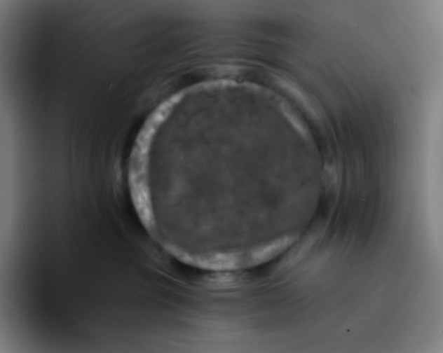 X0000094190381200711161753